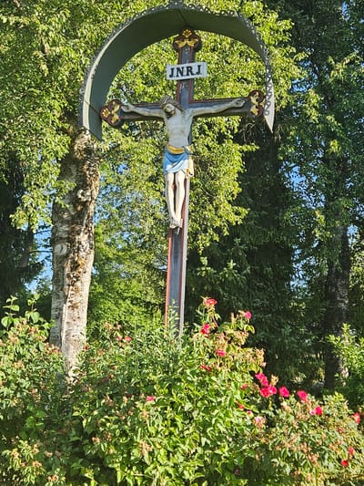 An outdoor, medium-shot, eye-level photograph shows a crucifix with a statue of Jesus Christ at the center. The crucifix is set against a backdrop of lush green trees and foliage, bathed in natural sunlight. The statue of Jesus is depicted in a traditional representation, with a loincloth around his waist and his arms outstretched. A plaque above his head bears the inscription "J.N.R.J." The crucifix itself is ornate, with decorative elements in gold and red adorning the cross. In the foreground, a dense arrangement of green bushes and rose bushes, some with red flowers, partially obscures the base of the crucifix. The overall impression is one of serene religious symbolism set within a natural, verdant environment.