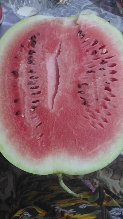 The image shows a close-up, overhead view of a halved watermelon, displayed on a surface with a patterned cloth. The watermelon is a vibrant pink with visible seeds scattered throughout its flesh. The rind is light green. The scene appears to be indoors, with some background elements suggesting a domestic setting, possibly a kitchen or dining area. The lighting is natural, casting soft shadows. There is no indication of the specific location within Ak-Terek, Kyrgyzstan. The image focuses solely on the fruit, with no people or specific actions depicted.