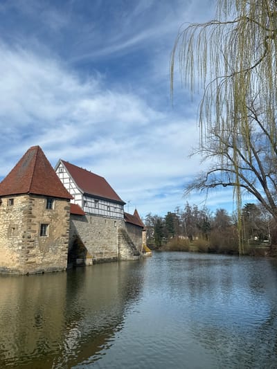 The image displays the Altes Spital (Old Hospital) complex, also known as Spitalhof, in Weißenburg in Bayern, Germany, situated directly on a body of water, likely the city moat or river Schambach. The central and left portions of the frame are dominated by the historic stone and half-timbered structure. The lower walls are constructed from light brown, rough-hewn stone blocks that rise from the water. A prominent corner section on the far left features a steep, pyramidal red-tiled roof. Adjoining this, a larger section exhibits a white half-timbered upper story with a red-tiled gable roof. Multiple small, rectangular windows with light-colored frames are visible throughout the building. Small dark objects are present on the peak of the central gable roof. An arched opening is discernible at water level in the stone foundation.
The calm water surface reflects the building's stonework, roofs, and portions of the sky. To the right, a large weeping willow tree, exhibiting slender branches and nascent green catkins or leaves, extends into the upper right quadrant of the image, overhanging the water. The far bank of the water body is lined with a dense arrangement of trees and shrubs, predominantly deciduous and bare, indicating early spring, interspersed with some evergreen foliage. The sky above is bright blue with scattered, wispy white cirrus clouds. No individuals are present in the scene.