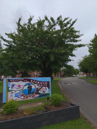 The image shows a welcome sign for Leckagh Drive in Magherafelt, United Kingdom. The sign features a colorful mural with various scenes, including people playing sports, a soldier standing in front of a poppy field, and a drum. The sign is positioned at the entrance to a residential street lined with trees and houses. A road with a few cars is visible, curving to the right. The sky is overcast.