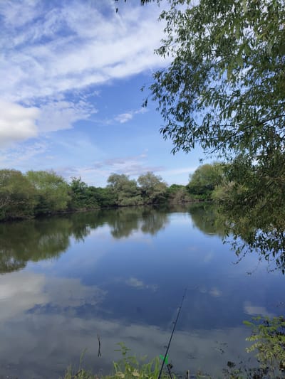 The image depicts a serene natural landscape with a calm body of water reflecting the sky and surrounding trees. The sky is a vibrant blue with scattered white clouds, creating a picturesque scene. On the left side of the image, lush green trees and bushes line the bank of the water. The water itself is still and dark, with clear reflections of the sky and foliage. In the foreground on the right, a fishing rod is set up, indicating recreational activity. The environment suggests a peaceful outdoor setting, possibly a lake or a slow-moving river, located in Krushare, Bulgaria. The overall atmosphere is tranquil and natural.