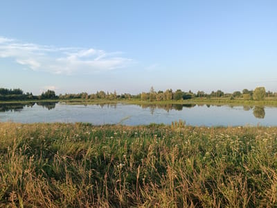 A wide, low-angle shot captures a serene natural landscape on a clear, sunny day, likely during late afternoon due to the warm, soft lighting. The scene is dominated by a calm body of water reflecting the sky and the trees lining its opposite bank. The foreground is filled with tall, dry grasses and scattered white wildflowers, creating a textured and somewhat wild feel. The water, a reflective surface, shows the shapes of trees and foliage along its edge, with subtle ripples indicating a gentle breeze.
Beyond the water, a dense line of trees forms the horizon, a mix of deciduous and coniferous species, their reflections mirrored in the water. The sky above is a soft, clear blue with a few wispy white clouds drifting lazily. The overall impression is one of tranquility and natural beauty. There are no people or man-made objects visible, emphasizing the pristine nature of the environment. The time of day is suggested by the golden hue of the light on the grasses and the clear, bright sky, characteristic of a late summer or early autumn afternoon in Alexandrovskoe, Russia. The weather appears to be warm and pleasant. No text is visible in the image.