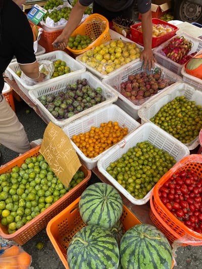 The image depicts an outdoor fruit market scene in Chongzhou City, China. In the foreground, three watermelons are visible, two in an orange plastic basket. To the left of the watermelons, in an orange basket, are many green plums. A sign made of brown cardboard with Chinese characters is placed in front of a white plastic crate filled with green plums. To the right of the green plums, in a white plastic crate, are numerous small yellow fruits, possibly cherry tomatoes or small plums. Behind these, in another white crate, are more plums, a mix of green and red. Further back, a person's arm is visible reaching towards a red basket filled with yellow fruits. A woman in a black shirt and light-colored pants is also visible, holding a plastic bag. In the background, there are more fruits including grapes and dragon fruit. The ground appears to be asphalt.