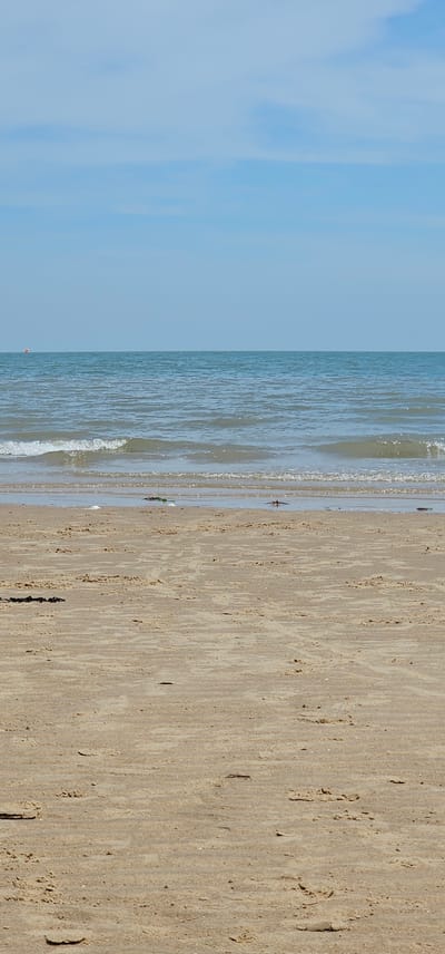 The image depicts a serene beach scene at Walton-on-the-Naze, United Kingdom, under a clear blue sky with light clouds. The horizon line is distinct, separating the calm, light blue ocean from the sky. Gentle waves are lapping at the sandy shore, leaving a wet, reflective sheen on the sand. Scattered along the wet sand are small pieces of debris, likely seaweed or driftwood. The foreground is dominated by dry, pale sand, showing subtle ripples and textures from the wind or receding tides. The overall atmosphere is tranquil and uncluttered, focusing on the natural elements of the coast. There are no people or animals visible in the frame, and no man-made structures other than a small, distant orange buoy visible on the ocean.