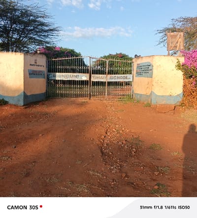 A photograph captures the entrance of Bunguni Primary School. Two weathered walls flank a metal gate, bearing the school's name. Faded signage adorns the walls. The ground is reddish-brown, scattered with stones and sparse vegetation. A shadow is visible on the right. A basketball hoop rises beyond the right wall. Bright pink flowers contrast against the building's muted colors and a clear sky is at the horizon.