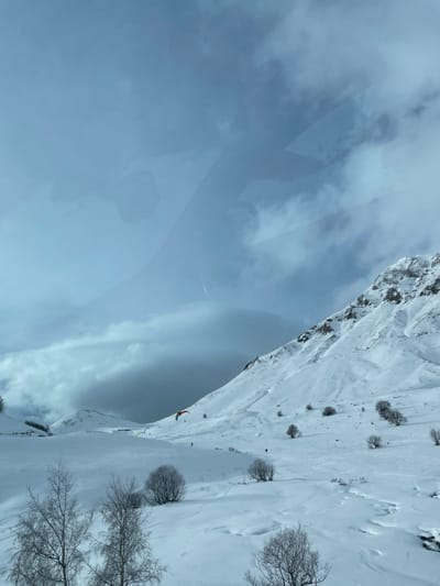 This image depicts a snow-covered alpine landscape in the vicinity of Le Monêtier-les-Bains, France, under an overcast sky. The foreground and midground present undulating, pristine snowfields punctuated by scattered, bare deciduous trees and bushes. In the midground, multiple paragliders are visible on the snow: one prominent paraglider with a red, yellow, and green canopy is positioned on a moderate slope, while a smaller yellow canopy lies further to the left. Several dark, indistinct figures are discernible on the snow, engaged in winter sports such as skiing or paragliding preparation. The right side of the frame features a steep, snow-covered mountain face with visible rocky outcrops. The sky is dominated by a mix of grey and lighter clouds, with darker, heavier cloud formations present over the central and left portions of the scene. Indistinct reflections are evident across the upper third of the image, suggesting it was captured through a window.
