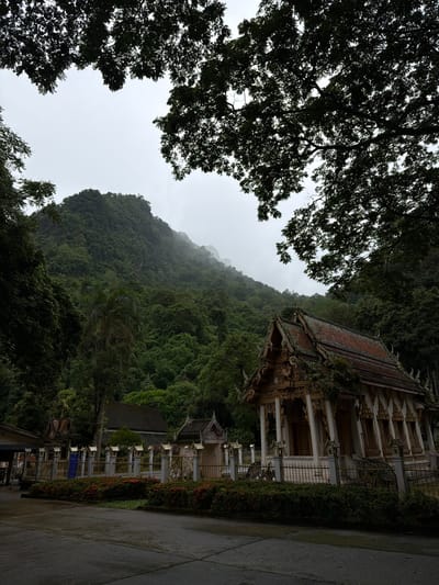 The image captures a temple complex situated against a densely forested mountain in Chiang Dao, Thailand, under an overcast sky. Large, dark tree canopies frame the upper portion of the scene. A prominent mountain, covered in lush green vegetation, rises steeply in the background, with its upper reaches partially obscured by light mist or clouds.

In the mid-ground, on the right, stands a traditional Thai temple building featuring a multi-tiered, ornate roof with red tiles, exhibiting signs of age and minor moss growth. Its façade is intricately decorated with gold and white accents, including carved details and columns. To the left of this main structure, other temple buildings with darker roofs are partially visible amongst the trees.

A decorative, low fence with white and gold posts, each topped with a small lamp, separates the temple grounds from a paved area in the foreground. Along the base of this fence, a row of red flowering bushes (possibly Ixora) is planted. The foreground consists of a dark, wet asphalt or concrete surface, reflecting the ambient light. No individuals are present in the scene.