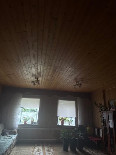 The image depicts the interior of a room with a wooden plank ceiling. Two ceiling light fixtures are visible. There are two windows with horizontal blinds. On the windowsill of the left window, there are several potted plants, two of which have red flowers. A sofa is partially visible on the left side of the room. In front of the right window, there are three potted plants. Further to the right, a dark wood cabinet stands against the wall. A chair is positioned near the cabinet, and a large, light-colored spherical object, possibly a balloon or inflatable ball, is situated behind it. A bench with red cushions is placed in front of the cabinet. The floor is covered with a patterned carpet. The overall lighting suggests it might be daytime, with natural light entering through the windows. No people are present in the image. The setting is likely a residential interior in Нижний Суык-Су, Russia.