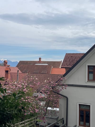 The image depicts a view in the city of Škofja Loka, Slovenia, characterized by buildings with red-tiled roofs and a cloudy sky. A magnolia tree with pink blossoms is prominent in the foreground, obscuring parts of the buildings. In the background, snow-capped mountains are visible. The architecture suggests a traditional European style.