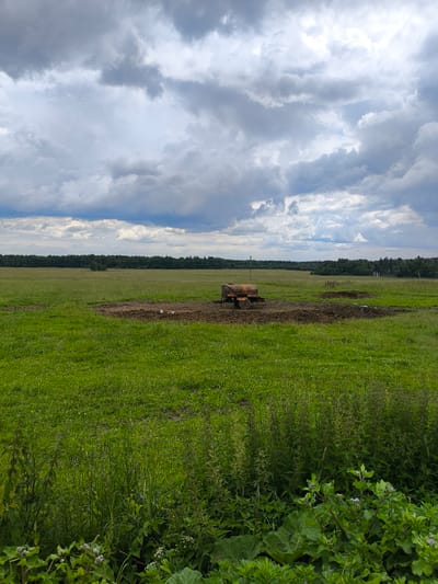 The image depicts a rural landscape in Pervomaiskoe, Russia, under a cloudy sky. The scene is dominated by a vast, green field of grass, with a darker patch of earth in the mid-ground where a rusty, orange water tank on wheels sits. The tank appears weathered and industrial. Several small white objects, possibly birds or debris, are scattered around the tank on the dark earth. In the distance, a dense line of trees forms the horizon, with power lines faintly visible in the far distance. The foreground is lush with tall green grasses and broad-leafed plants. The weather appears overcast, with dramatic, textured clouds filling the sky, suggesting it could be early morning or late afternoon. No people are visible in the image, and there is no discernible text. The overall mood is one of quiet, natural solitude with a touch of industrial abandonment.
