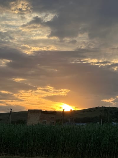 A sunset scene unfolds over a field of tall green grass in Novoteretsky, Russia. The sky is filled with dramatic clouds, some dark grey and others illuminated by the setting sun, creating a gradient of orange and yellow hues. In the middle ground, a weathered brick building stands against a backdrop of a sloping, vegetated hill. A power line pole with electrical wires is visible to the left of the building. The foreground is dominated by the dense green grass, reaching up to the middle of the frame. The overall impression is one of rural tranquility during a vibrant sunset.