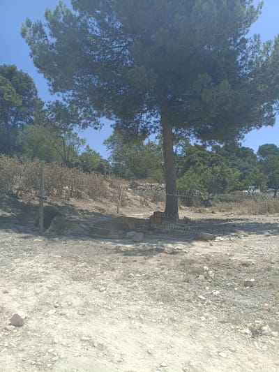 Two lions are resting near a tree. They are lying on the ground behind a fence made of wire. The ground is covered with dirt and rocks. In the background, there are more trees and bushes. The sky is clear and blue.