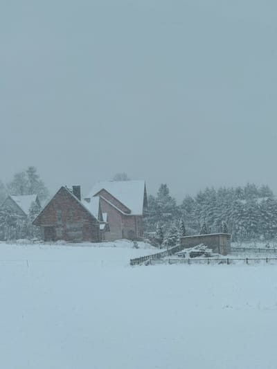 The scene depicts a snow-covered landscape in Lasek, Poland, under an overcast sky during daylight hours with visible falling snow. In the foreground, a field is completely covered in a thick layer of white snow. A simple, sparse wire fence with dark posts crosses the middle ground from left to right. Directly behind this fence, slightly to the left of center, stands a reddish-brown brick house with a steep, snow-covered dark gray gable roof and a prominent chimney. To its right, and slightly set back, is another reddish-brown brick building, possibly a larger house, featuring a complex, multi-gabled red roof, also heavily covered in snow. Further to the right, a smaller, roughly rectangular outbuilding constructed of light-colored stone or concrete, with a low-pitch roof, is visible near a stack of logs or lumber. A wooden fence runs behind the outbuilding, separating it from the foreground. The background consists of a dense forest line dominated by snow-laden coniferous trees, with a few bare deciduous trees also present, particularly behind the leftmost house. A third, partially obscured snow-covered house with a dark roof is visible among the trees to the far left. No individuals or animals are present.