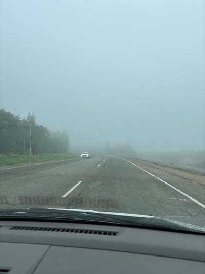 A foggy, overcast day is depicted from the perspective of a car driving on a two-lane asphalt road, likely located in or near the city of Plodopitomnik, Russia. The road is bordered by a tree line on the left, with some birch trees visible amongst the darker evergreens. The fog obscures the distance, making it difficult to see far ahead. A white car is visible in the right lane, moving away from the viewer. There is also a construction area on the right side of the road, with piles of dirt and some equipment. The car's dashboard and windshield wipers are visible in the foreground.