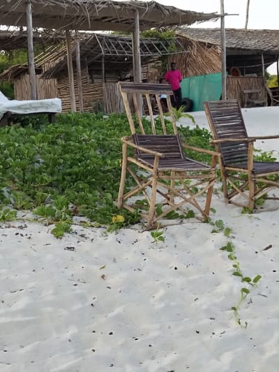 The scene depicts a sandy beach environment located in Gombato Bongwe ward, Kenya. The foreground consists of light-colored sand with sporadic patches of green, vine-like vegetation. In the mid-ground, two rustic wooden chairs are positioned on the sand. These chairs are constructed from light-toned natural wood for the frames, with darker, horizontally slatted seats and backs. A dense area of green, broad-leafed vegetation separates the chairs from the structures in the background.

In the background, several open-sided structures are visible, characterized by their construction from natural materials such as vertical wooden poles, woven reeds, and thatched roofs supported by wooden posts. A male individual stands centrally among these structures, wearing a bright pink short-sleeved shirt and dark trousers. He is partially obscured by the foreground chairs and foliage. To his left, a white fabric-covered object, resembling a mattress or sunbed, rests on a raised platform. To his right, a section of one structure features a prominent turquoise-green tarp, with a black vehicle tire positioned on the sand nearby. Behind the green tarp, one or two additional individuals are partially visible, appearing to be seated. An additional circular object, possibly a lifebuoy, is discernible further back within the structures.