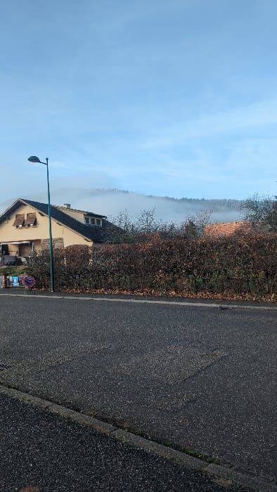 The image depicts an outdoor street scene in Châtenois, France, presenting a static view of residential architecture, vegetation, and a natural landscape under a clear, partially hazy sky.
In the foreground, a dark gray asphalt road surface occupies the lower half of the frame, separated by a dark gray curb from a narrow, unpaved strip or sidewalk. No vehicles or individuals are present on the road.
The midground features a dark green lamppost positioned vertically on the left. Behind and slightly to the right of the lamppost, a residential building with light tan walls and a dark gray tiled gable roof is visible. This structure includes windows with dark brown closed shutters and a partially obscured lower-level patio area on the left. Adjacent to the house and extending across the midground to the right is a dense, approximately head-height hedge composed of dark brown and green foliage, with fallen leaves at its base. Behind the hedge, the upper section of an orange-brown tiled roof is partially visible on the right.
The background presents a range of mountains or hills partially shrouded in a thick layer of white to light gray fog or mist, which obscures the lower and mid-slopes. Above the fog line, the sky is a clear, light blue with minimal cloud formations. No active subjects or interactions are discernible in the scene.