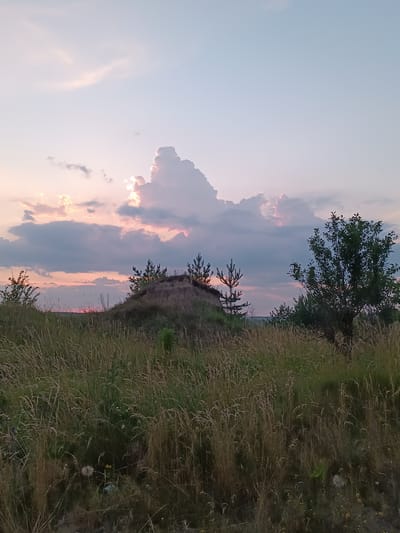 A low-angle, full outdoor shot shows a pastoral landscape with a pink and blue sky at sunset. The foreground is dominated by tall, dry grass, with a few green shoots interspersed. In the mid-ground, a small, barren hill rises, with a few young pine trees growing at its summit. To the right of the hill is a fuller, leafy tree. The background is a hazy horizon with muted colors. The scene appears to be set in a rural area, possibly on the outskirts of Lozova, Ukraine, given the presence of the tall grasses and sparse vegetation typical of such regions. The overall atmosphere is serene and tranquil, with the setting sun casting a warm glow over the scene.