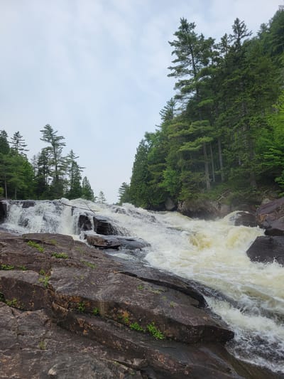 An outdoor scene captures a turbulent waterfall cascading over dark, wet rocks. The water is a foamy white and light brown, with significant splash and spray. The foreground is dominated by large, dark gray and brown rocks, some with small green plants growing in their crevices. Behind the waterfall, a dense forest of tall, green coniferous trees rises up a slope. The sky above is overcast and a pale blue-gray. The location is in Saint-Alban, Canada.