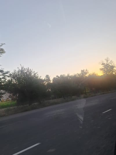 A long shot captures an overcast sky with a gradient from pale blue at the top to a hazy yellow near the horizon, suggesting either dawn or dusk. Below the sky, a line of dense trees with dark foliage stretches across the middle ground. The trees are silhouetted against the bright sky, with some showing bare branches. The foreground is dominated by a dark asphalt road, angled from the lower left to the upper right of the frame. A thin white line, likely a road marking, is visible on the right side of the road. The overall impression is a landscape scene viewed from a moving vehicle on a highway in or near Iskra, Kyrgyzstan, during twilight.