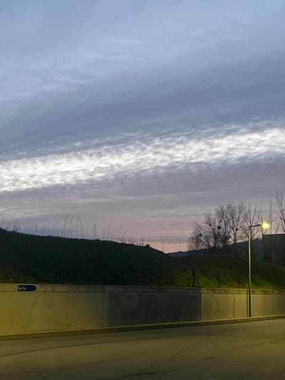 The photograph shows a dusk scene in Mensdorf, Luxembourg. A wide band of striated clouds stretches across the sky. The camera's perspective is such that the landscape appears vertically oriented. A tree with bare branches and possible nests or growths is illuminated by a streetlamp. A green, sloping area is present. A concrete walkway or road with the word "Sortie" on a blue sign is visible. The lighting is dim, suggesting twilight. There are no people visible in the image.