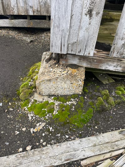 A close-up depicts weathered wooden structures intersecting at an angle, resting upon a concrete block partially covered in moss. The surrounding surface is dark, interspersed with patches of bright green moss, small white rocks, and concrete debris. The overall scene evokes a sense of decay and disrepair.