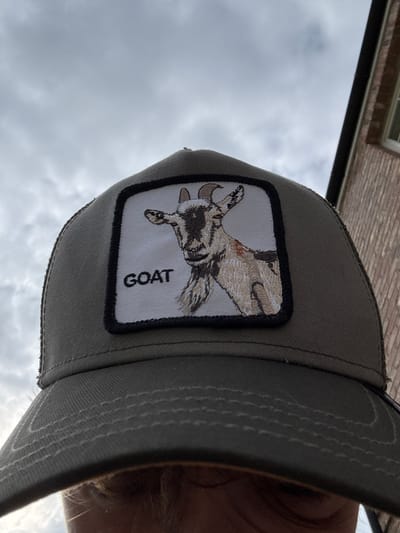 A person wearing a dark green trucker hat with a white patch on the front, showing a goat in profile, with the word “GOAT” embroidered under it, is looking at the camera. The hat is a mesh style. The background is a cloudy sky, with a brick building to the right. The image is taken from a low angle, looking up at the hat. The image is blurred above the brim of the hat, and the person's face is only partially visible. The location is a residential area in Sand Hutton, United Kingdom, at 54.025 latitude and -0.933 longitude.
