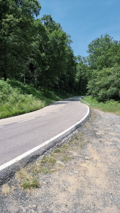 The image depicts a winding asphalt road in a wooded area with a bright blue sky overhead. The road has a white line marking its edge and a single white line in the center. To the left of the road, there is a grassy slope covered in green ferns and trees. To the right, the road gives way to a gravel and dirt shoulder. The trees are dense and lush, with a variety of green foliage. The lighting suggests it is daytime, likely sunny. The scene appears to be in a rural or natural setting, consistent with a location like Les Planes d'Hostoles, Spain, known for its forested landscapes. There are no people or vehicles visible in the image.