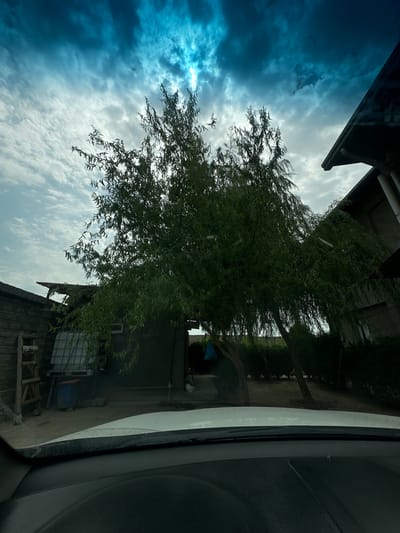The image shows a view from inside a car, looking out at a scene in Jaukashty, Uzbekistan. In the foreground, the dashboard and windshield of a white vehicle are visible. Outside, a large weeping willow tree with dense green foliage dominates the center of the frame, its branches extending towards the sky. Behind the tree, there is a modest building with a dark grey exterior and a sloped dark roof. To the left of the building, a brick wall runs horizontally. A wooden ladder leans against the brick wall. A large, clear plastic water tank with a blue base is positioned next to the building, and a blue bag is hanging from a tree branch in the background. The sky above is dramatic, with dark blue and white clouds creating a textured, overcast atmosphere, with a bright patch of light breaking through in the upper center. The ground appears to be dirt or gravel. The overall scene suggests a rural or semi-rural residential area.