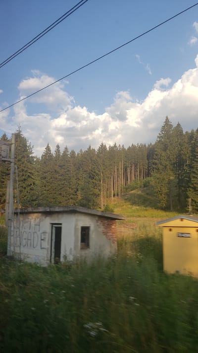 In the city of Hybe, Slovakia, this image captures a rural scene with a small, dilapidated white and brick structure in the foreground. Graffiti reading "NORTH BRIGADE" is visible on the left side of this building, which has an open doorway and a single dark window. Adjacent to it is a small, yellow structure with a dark sign. The structures are situated in tall, green grass. Behind them, a dense forest of pine trees covers a hillside under a blue sky dotted with white clouds. Overhead, two dark power lines stretch across the frame.