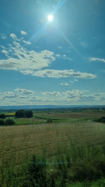 The image depicts a wide landscape under a bright, sunlit sky. The sun is prominently positioned in the upper center, emitting strong rays that create a lens flare effect across the sky. Scattered white clouds drift through the clear blue atmosphere. The foreground is dominated by a field of dry, golden grass or crops, with some taller green vegetation in the lower right corner. Beyond this field, there is a mosaic of agricultural land with patches of green crops and darker soil. In the middle ground, a cluster of dark green trees stands out against the lighter landscape. Further in the distance, a hazy mountain range forms the horizon, with a hint of a settlement or buildings visible at the base of the mountains. The overall impression is one of a rural, agricultural area bathed in the light of a sunny day. The specific location in Gara, Romania, is not visually discernible from the image itself.