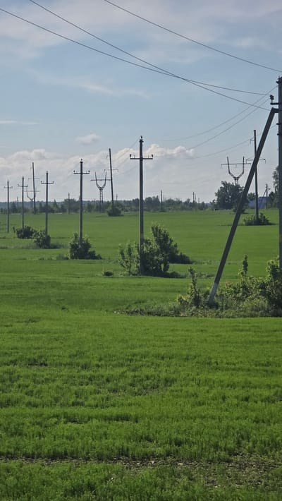 A row of power line poles with wires traverses a vast, green, flat field under a blue sky with scattered white clouds. The poles are spaced at intervals, with some appearing as singular vertical structures and others as A-frame configurations. Small clusters of green bushes are scattered around the bases of some of the poles. In the distance, a line of trees and more power poles can be seen. The overall scene suggests an open, rural landscape in the vicinity of Актюбинский, Russia, likely an agricultural area or undeveloped land. There are no people or animals visible in the image.