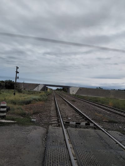 A long-distance shot depicts a cloudy, overcast sky above a railway crossing. The crossing is made of large, flat, dark gray textured mats, some of which appear worn and cracked. Two sets of parallel train tracks run into the distance, converging under a concrete overpass that spans the tracks. The overpass has a sloped embankment on either side, covered in dry grass and small bushes. A power pole with wires and a transformer stands to the left of the tracks, amidst more overgrown vegetation. To the far left, a black and white striped marker is visible. The scene is devoid of any people or animals.