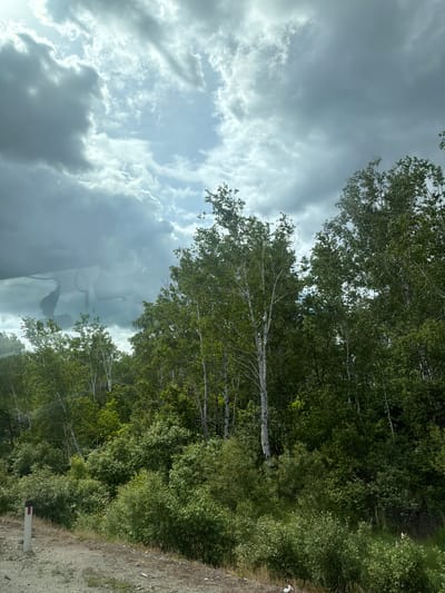 The image shows a dense forest with a mix of birch and other deciduous trees, along with thick undergrowth. The sky is overcast with dramatic, dark clouds, suggesting impending rain. In the foreground, a gravelly road runs alongside the forest, with a white marker post with a red top visible on the left side. The overall scene conveys a natural, wild environment, typical of rural or less developed areas. The specific location in the city of Аур, Russia, is not discernible from the visual elements alone.