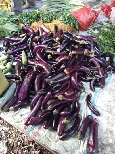 The image displays a street market scene in Ujung Tanjung, Indonesia, with a prominent pile of fresh eggplants as the main subject. The eggplants, predominantly deep purple, are arranged in a jumbled fashion on a white and blue striped cloth spread over the ground. Some eggplants have green stems still attached. To the left of the eggplants, a small pile of light green cucumbers is visible, along with a yellow object. Behind the eggplants, leafy green vegetables are spread out, and a red plastic bag is also present, suggesting a typical market stall. In the background, portions of a person's legs, clad in grey pants, and a bare foot are visible, indicating the presence of a vendor or shopper. The ground around the market stall appears to be dirt and debris.