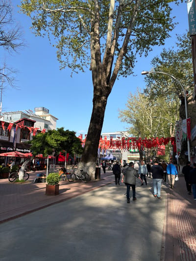 This media file depicts a lively outdoor scene on a tree-lined street or promenade in Iznik, Turkey. The image is taken during the daytime under a clear, bright blue sky, with sunlight casting shadows on the paved ground.

The main subjects include numerous people walking along the street, large, mature trees (likely plane trees) with green foliage providing shade, and commercial buildings lining one side of the thoroughfare. The street features a brick-patterned sidewalk and a central asphalt path.

A prominent feature is the extensive display of red and white Turkish flags and banners strung across the street, creating a festive or patriotic atmosphere. These flags are visible above the walking path and decorating the storefronts.

On the right side of the street, several multi-story buildings house various businesses. Visible text on signs and banners includes "OTEL GRAND RIMEDY," "İznik Pide," "Durum Kebap," and "Coca-Cola" with the slogan "TADINI ÇIKAR" (Enjoy it). Another sign partially visible reads "ZNIK TSO," likely referring to the Iznik Chamber of Commerce and Industry, and "YATAK" (Turkish for "bed"). Bicycles are parked near some of the establishments.

The overall scene suggests a bustling urban environment, likely a commercial or popular pedestrian area, with people engaged in their daily routines. The clear weather and vibrant flag display contribute to a cheerful and energetic ambiance.