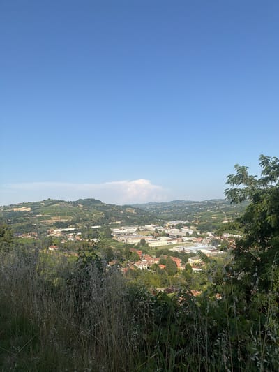 The image depicts a panoramic view of a town nestled amongst rolling hills, likely in the vicinity of Santo Stefano Belbo, Italy, under a clear blue sky with a wispy cloud formation in the distance. The foreground is dominated by tall, dry grass and vegetation, creating a natural frame for the scene.
In the middle ground, a densely populated town unfolds, characterized by a mix of red-tiled roofs and various building structures, some appearing to be residential homes, while others suggest industrial or commercial facilities with larger, uniform buildings. Interspersed with the urban landscape are patches of green trees and foliage, indicating a verdant environment.
The background is a panorama of undulating hills, extensively covered with vineyards, evident from the terraced patterns carved into the slopes. These hills extend as far as the eye can see, creating a classic Italian countryside vista. The overall impression is one of a tranquil, rural-urban settlement situated within a rich agricultural landscape. No people or specific actions are discernible in the image.