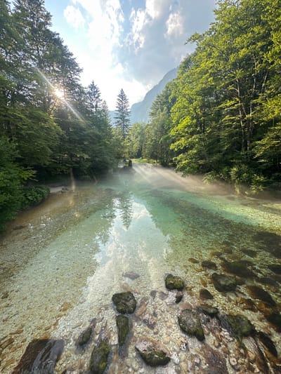 A vibrant landscape reveals a clear riverbed with rocks and pebbles, reflecting the surrounding lush greenery. Trees line the riverbanks, partially illuminated by sunlight piercing through the foliage. Mist rises from the water's surface, creating an ethereal atmosphere. A distant mountain peak is visible against a partly cloudy sky.