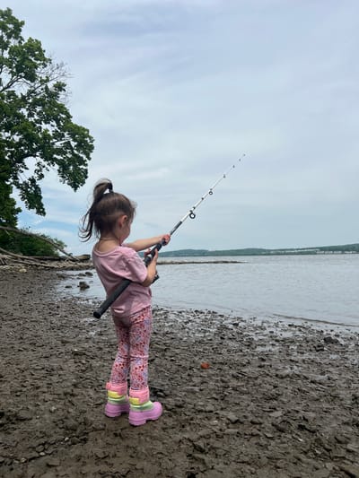 A young child stands on a muddy shore, holding a fishing rod. The child wears pink pants with a floral pattern, a light pink shirt, and pink, yellow, and light green rain boots. The fishing rod is silver and black and angled towards the water. The background includes a body of water and a visible shoreline with buildings in the distance. A tree is visible in the lower left corner of the image. The location is the Town of Fishkill, United States of America.