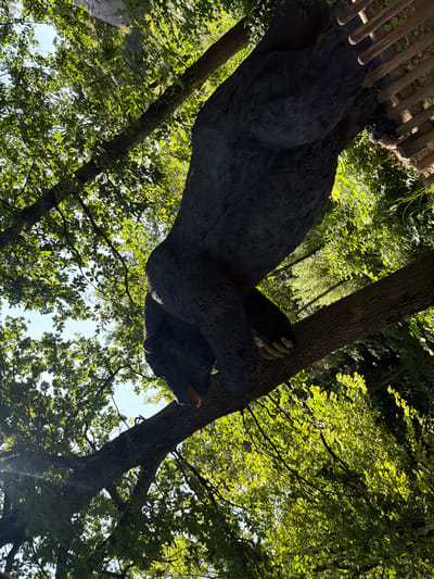 The image shows a large, dark-colored statue of a bear climbing a tree. The bear's body is mostly visible, with its head turned to the right and its mouth open, showing its tongue. One of its paws is reaching out, with visible claws. The bear appears to be made of a material that resembles fur.

The setting is outdoors, with a forest canopy of green leaves and branches overhead, dappled with sunlight. The sun appears to be high in the sky, suggesting it is daytime. There is a wooden fence visible in the top left corner of the image, partially behind the bear's back. The tree trunk is thick and textured, with bark. The overall scene is one of a bear in a natural, arboreal environment, though the sculpture aspect is evident.

No people are visible in the image. No text is visible. The location is Tolk, Germany. The image conveys a sense of playful or dramatic artistry, as the bear is positioned in an active, climbing pose.