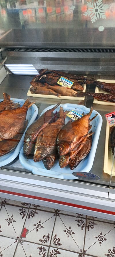 This is a medium-shot, eye-level, slightly angled, indoor, eye-level shot of smoked fish displayed in a refrigerated glass case. The fish are arranged in light blue and yellow plastic trays, with some on a white tray. Several price tags are visible, some in Russian. The overall color palette is dominated by the brown hues of the fish and the cool tones of the glass and metal display case. In the background, shelves with blurred products are visible, and a snowflake sticker is on the glass. The foreground shows a tiled floor with a red stripe on the lower edge of the display case. The scene appears to be a retail environment, likely a fish market or a grocery store. The location is identified as Novlenskoe, Russia. There are no people visible in the image.