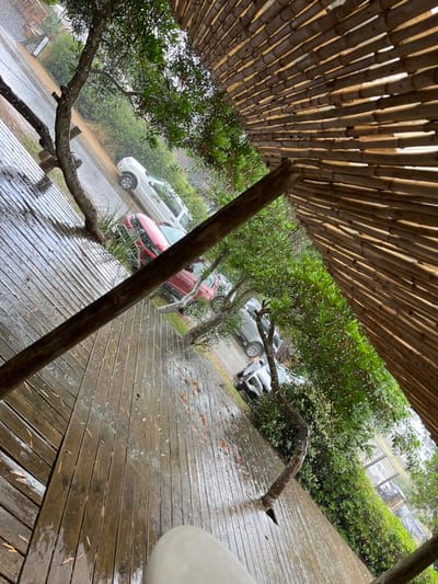 This media file depicts an outdoor scene during a heavy downpour, viewed from under a natural bamboo or reed roof structure. The roof, composed of parallel bamboo stalks, spans the top portion of the image, providing shelter.

In the foreground, a wet wooden deck extends across the lower and right sections of the frame, showing streaks and reflections from the falling rain. Scattered leaves are visible on the damp wooden planks. A sturdy, rustic wooden post or tree trunk serves as a support, extending diagonally from the top left towards the bottom center. On the far right, a partial view of a large, light-colored object, possibly outdoor furniture, is visible.

Beyond the immediate sheltered area, lush green trees with dense foliage are prominent, with visible raindrops showering their leaves. A large branch from one of these trees extends over the deck. Through the trees, a road or parking area can be seen, occupied by several parked vehicles, including a white SUV on the left, a red car, and a silver SUV, along with other cars further in the distance. The entire outdoor environment, including the road and vehicles, appears thoroughly wet, confirming the heavy rainfall.

The scene conveys a sense of being protected from the inclement weather while observing the outdoor conditions. It is daytime, likely overcast due to the rain. No people are visible in the image. The location is Faro de José Ignacio, Uruguay. No text is visible.