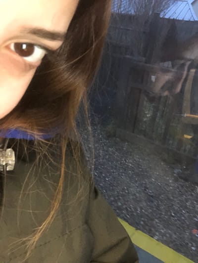 A partial view of a person's face with brown hair, eye, and eyebrow is visible. A blurry background reveals a reflective surface showing a distorted image of a building-like structure. Adjacent to the hair is a section of a garment, perhaps a jacket, olive-green in color. A yellow line is also discernable, possibly indicating a painted marker on the ground. The image is slightly rotated.