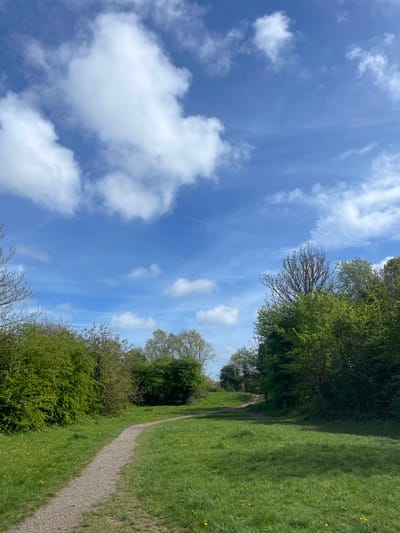 This image captures a vibrant outdoor scene, likely a park or nature trail, under a bright blue sky. A narrow, light-colored gravel path winds through the center of the frame, curving gently from the lower-left foreground towards the upper-right distance.

On both sides of the path, lush green grass covers the ground, dotted with small, bright yellow wildflowers, suggesting spring or early summer. Dense foliage from trees and bushes forms a natural border along the path. On the left, a thick line of green trees and undergrowth creates a natural wall, with some taller, bare-branched trees visible against the sky in the mid-ground. The right side of the path features more open grassy areas before meeting another line of trees and bushes further back.

The sky is a prominent feature, showcasing a clear, vibrant blue canvas adorned with various white clouds. Some clouds are fluffy and distinct (cumulus), while others are thin and wispy (cirrus), with faint streaks, possibly contrails, visible. The lighting indicates a sunny day, likely mid-morning or afternoon, with no strong shadows evident.

There are no people or specific man-made objects other than the path itself, implying a peaceful and natural setting. No specific activities are depicted; the scene invites contemplation or a leisurely stroll. While the image itself does not contain specific location cues, the provided context indicates the setting is Portsmouth, United Kingdom. There is no visible text in the image. The overall impression is one of tranquility and natural beauty.