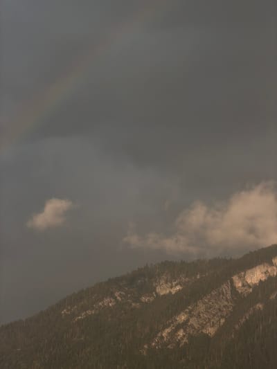This image displays a dramatic, mountainous landscape with a thick, overcast sky. The dominant feature is a steep, rocky mountain face covered in dense evergreen trees, which are partially illuminated by unseen light sources, creating streaks of light and shadow across the terrain. The sky is a uniform, muted gray, with hints of lighter clouds, suggesting a cloudy or possibly foggy day. The lighting implies it could be late afternoon or early morning, but the overcast conditions make it difficult to ascertain the exact time of day.
The perspective is a low-angle shot looking upwards towards the mountain, which occupies the right and upper portion of the frame. The left side of the image is almost entirely taken up by the hazy, uniform sky. There are no people or man-made objects visible, emphasizing the wild and natural character of the scene. The overall mood is somber and imposing, with the scale of the mountain dwarfing the viewer. The image was captured in or near Cluses, France, a region known for its alpine scenery.