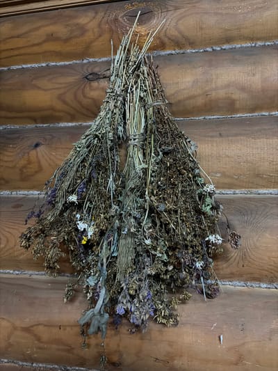 A bundle of dried herbs and flowers hangs against a rustic wooden wall. The wall is constructed from horizontal logs, with insulation visible between them. The bundle is tied with twine in the middle and fans out downwards, with various dried plant materials in shades of brown, green, and a few hints of purple and white from small flowers. The scene appears to be indoors, possibly in a home or rustic dwelling. The location is specified as Panovka, Russia.