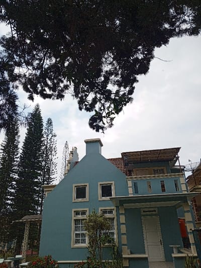 A daytime exterior scene captures a two-story house with a prominent teal facade and light beige trim. The left section features a stepped gable with a chimney and two square windows above two larger rectangular windows with white frames and decorative grilles. The right section includes a ground-floor entrance with a white door under a small covered porch, adjacent to a small white bench. An upper-level balcony with a teal railing is covered by a flat, possibly metal, canopy. A satellite dish is partially visible on the far right of the structure. The roof behind the gable appears to be tiled with reddish-brown material. Landscaping at the base of the house consists of green foliage and red flowering plants. The upper portion of the image is dominated by the dense, dark foliage of a large tree silhouetted against an overcast sky with patches of brighter white. Several tall, slender conifer-like trees rise in the background to the left of the house. No individuals are present, and no actions or interactions are depicted. There are no visual markers within the image to identify the location as Weintiapa, Liberia.