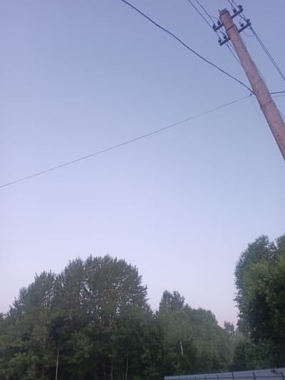 The image depicts an outdoor scene with a clear sky. A concrete utility pole with electrical wires is prominently featured on the right side of the frame, angled towards the upper right. The pole is topped with crossarms and insulators, and several wires extend from it across the sky. On the left and in the lower part of the image, a dense line of trees forms the horizon. The trees are lush and green, suggesting a natural or park-like setting. A metallic fence is visible at the very bottom of the image. The overall impression is a rural or semi-rural environment, potentially on the outskirts of a city like Poshekhonye, Russia, given the presence of utility infrastructure alongside natural greenery. There are no people or animals visible in the frame, and no specific actions or interactions are taking place.