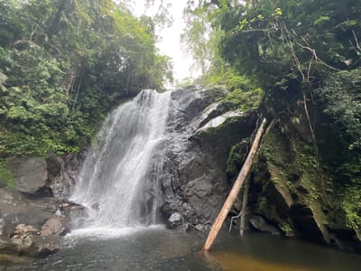 This is a wide-angle, eye-level shot of a waterfall cascading down dark, moss-covered rocks in a lush, green forest. The waterfall is in the center of the frame, with a pool of dark water at its base. A large, light-colored tree trunk lies diagonally across the lower right portion of the frame, partially submerged in the water. The surrounding environment is dense with vegetation, including trees, vines, and smaller plants clinging to the rocks. The sky above is overcast and bright, suggesting a humid, tropical climate. The scene appears to be a natural, undeveloped area. The location is identified as a waterfall in Lankagama, Sri Lanka. There are no people or animals visible in the image.