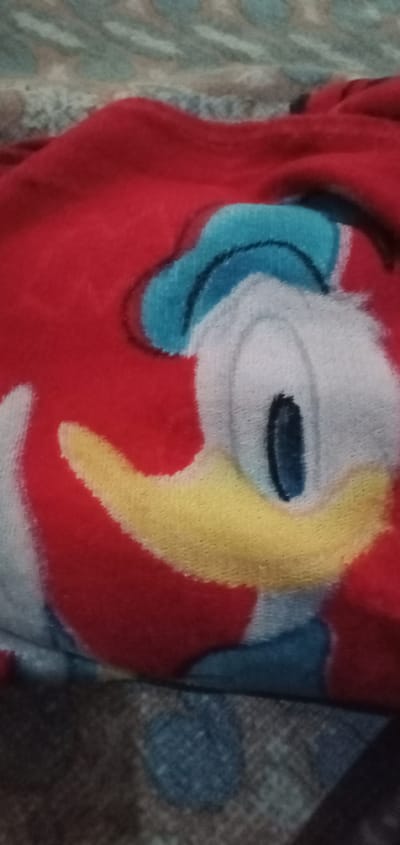 The image depicts a red blanket with a cartoon image of Donald Duck. The blanket appears to be resting on a patterned surface. There is no indication of the city of Bulukandang, Indonesia, or any specific location.