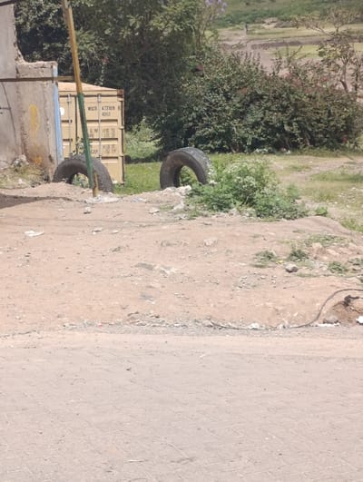 The scene depicts an outdoor environment in Matungulu west ward, Kenya, under direct sunlight. In the foreground, a light-colored paved surface composed of rectangular pavers is visible, likely a road or pathway. Immediately beyond this, an unpaved area of reddish-brown soil with scattered small rocks and debris extends into the midground.
Two large, dark-colored vehicle tires are partially buried upright in the dirt in the midground. The tire on the left is positioned adjacent to a tan-colored shipping container, marked with "MSCU 473308 0 4201" and "CAP" stenciled text. This container is partially obscured by a grey concrete structure and a tall, yellow pole featuring a green band. Green vegetation, consisting of grass and various shrubs, grows around the tires and extends towards the background.
The background is characterized by a dense cluster of green trees and bushes. Beyond this foliage, an open, lighter-toned field with sparse vegetation is visible, ascending gently. A solitary, faint human figure is observed walking across this distant field. No other individuals or specific interactions are discernible. The overall environment suggests a semi-developed or rural-fringe area.